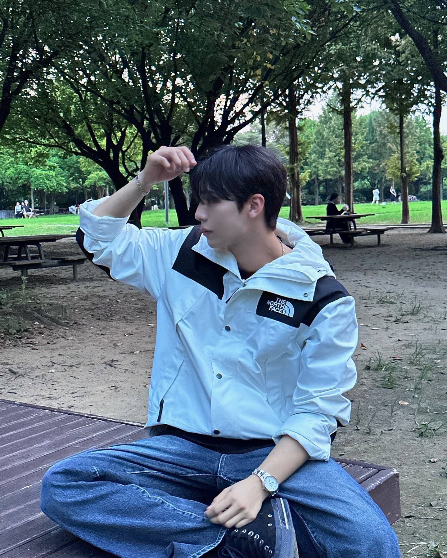 ノース フェイス triumph jacket