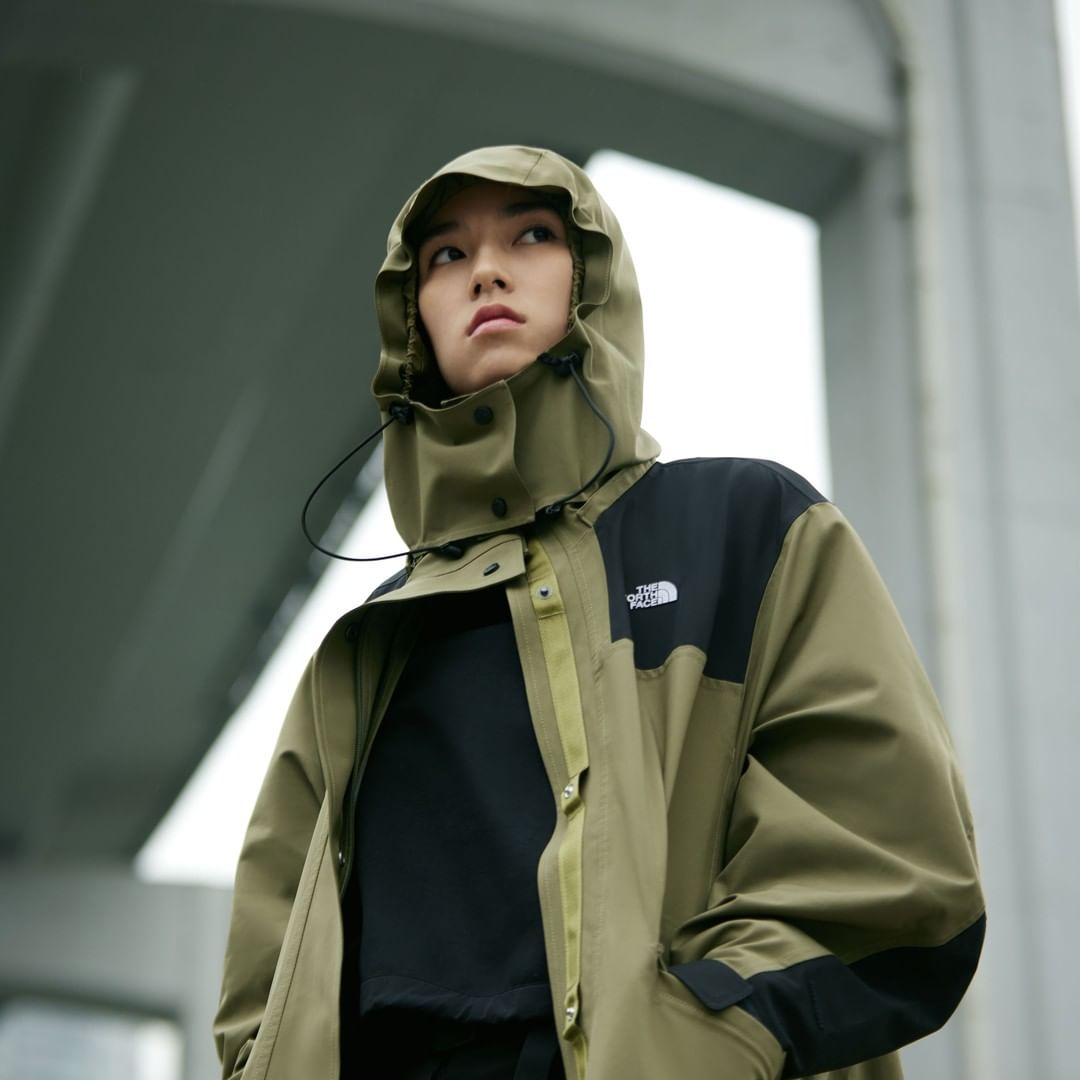 the north face レディース