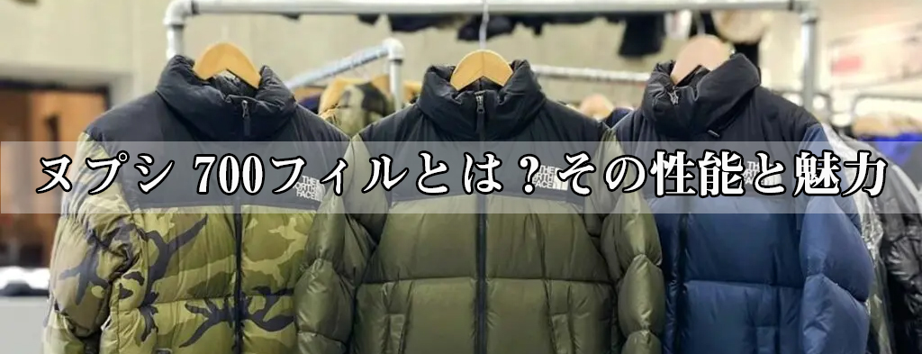 ヌプシ 700フィル 偽物 見分け方