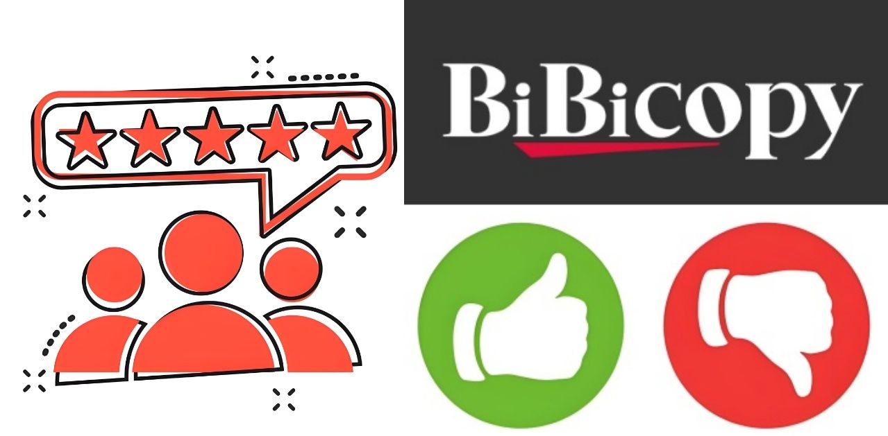 BiBiCopyの口コミと評判.jpg