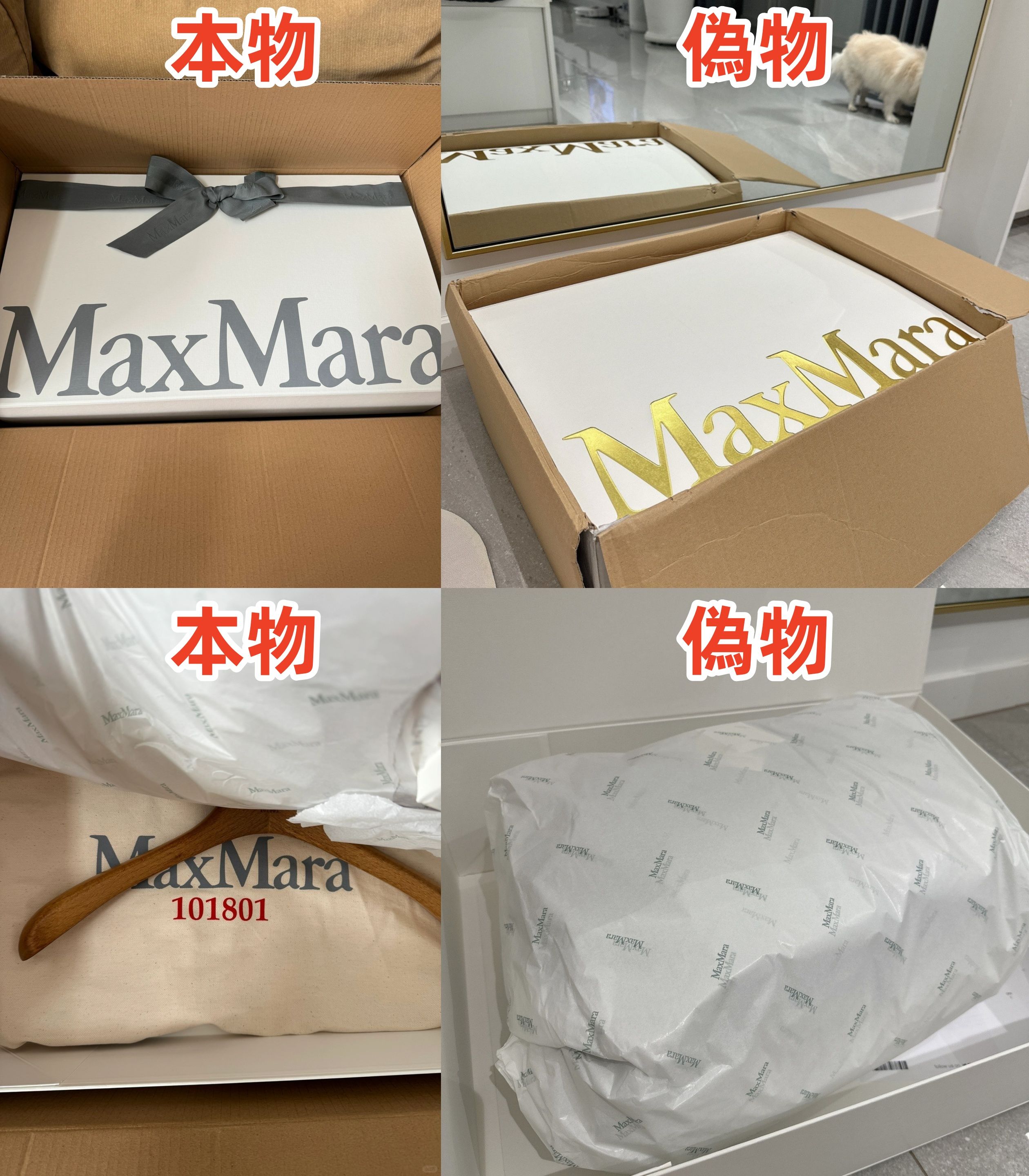 9. パッケージと付属品.jpg