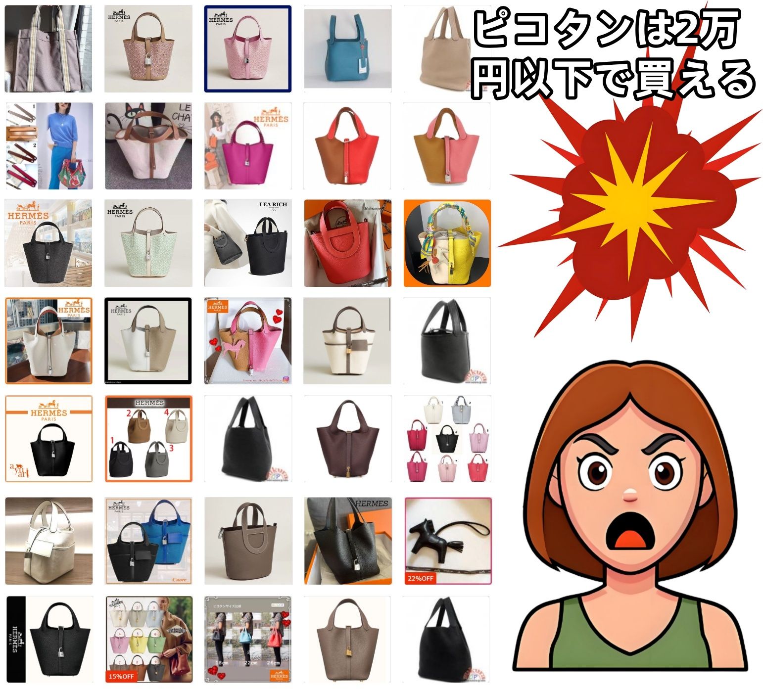 ピコタンは2万円以下で買える.jpg