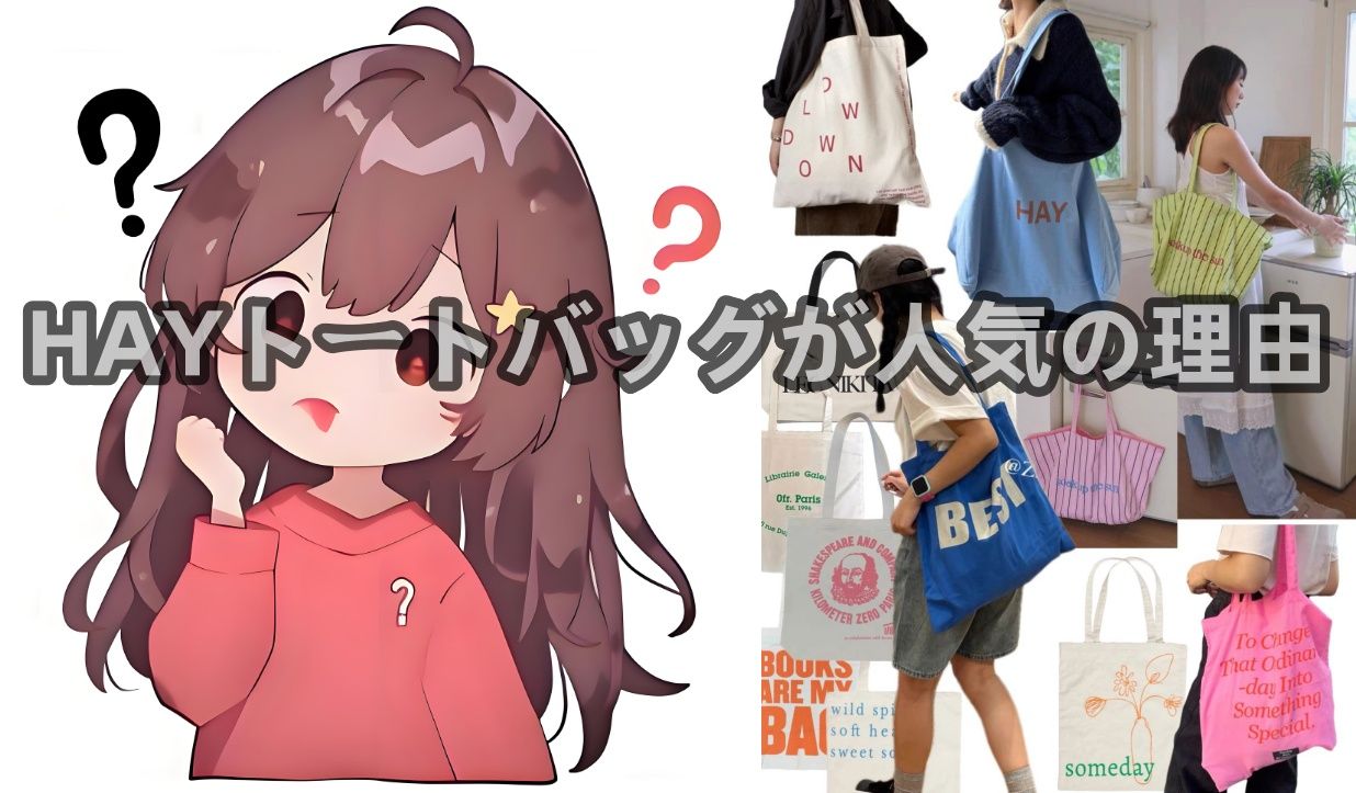 1. HAYトートバッグがなぜ人気なのか？.jpg