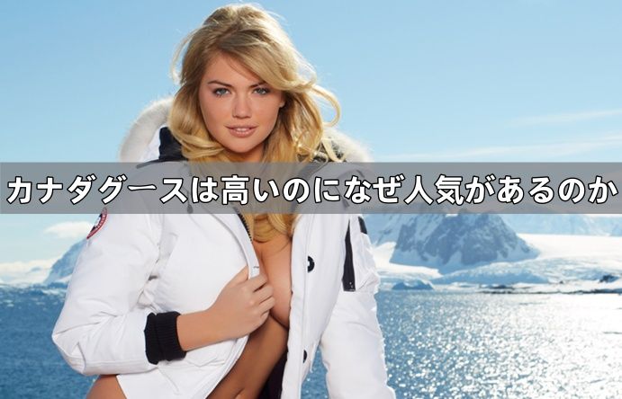4. カナダグースの魅力と人気の理由.jpg
