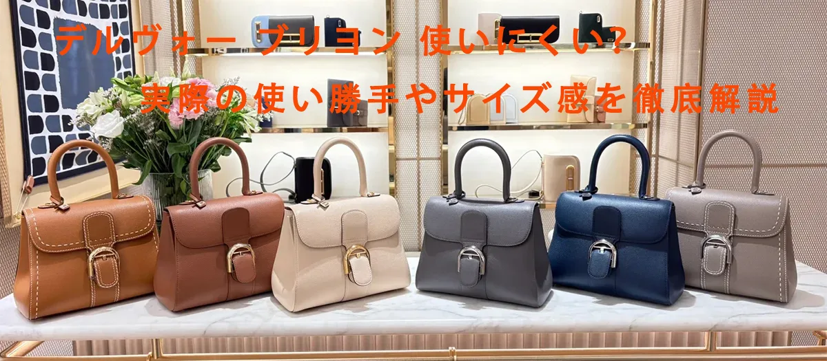 デルヴォー ブリヨン 使いにくい.webp
