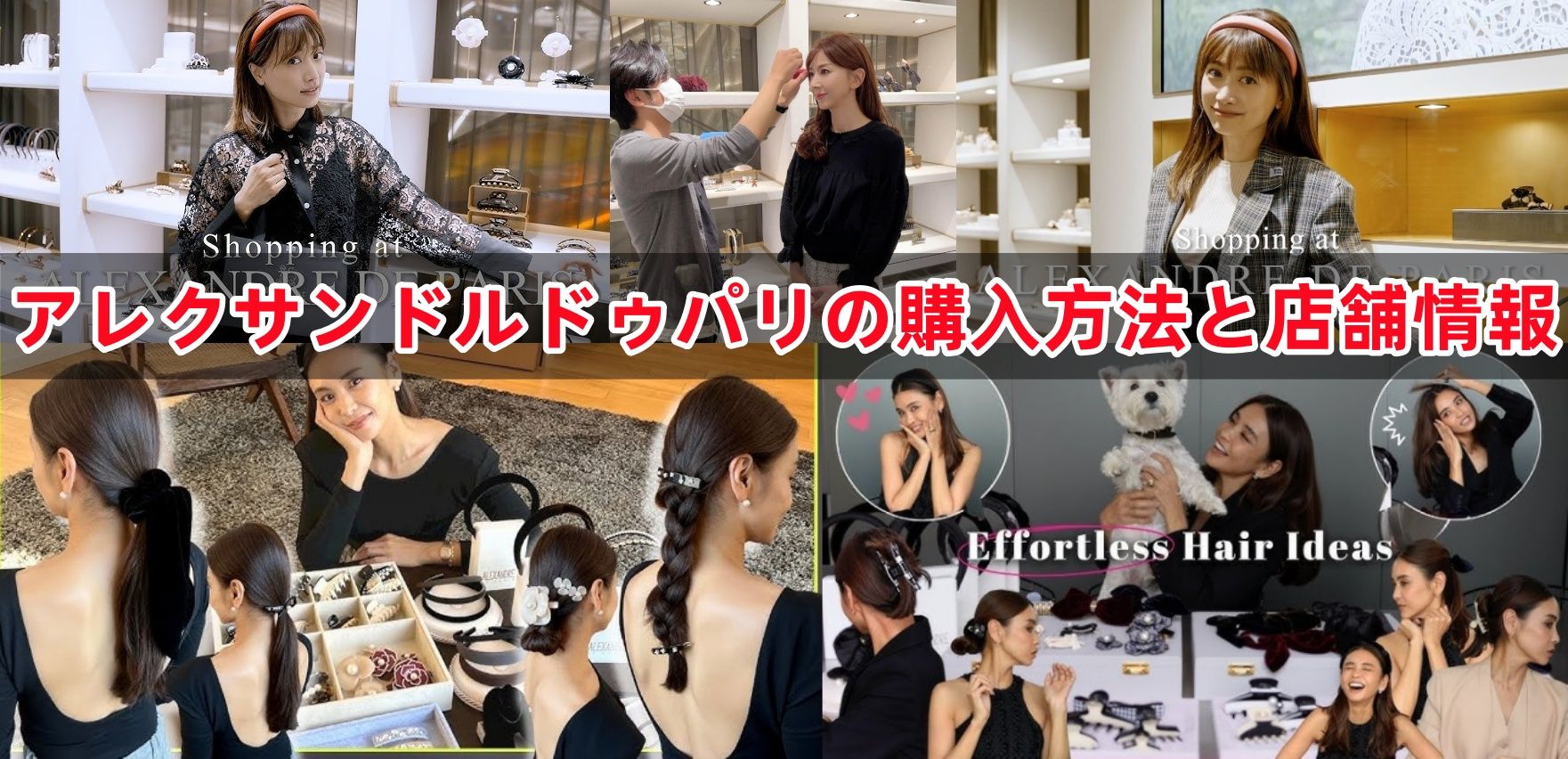 4. 購入方法と店舗情報.jpg