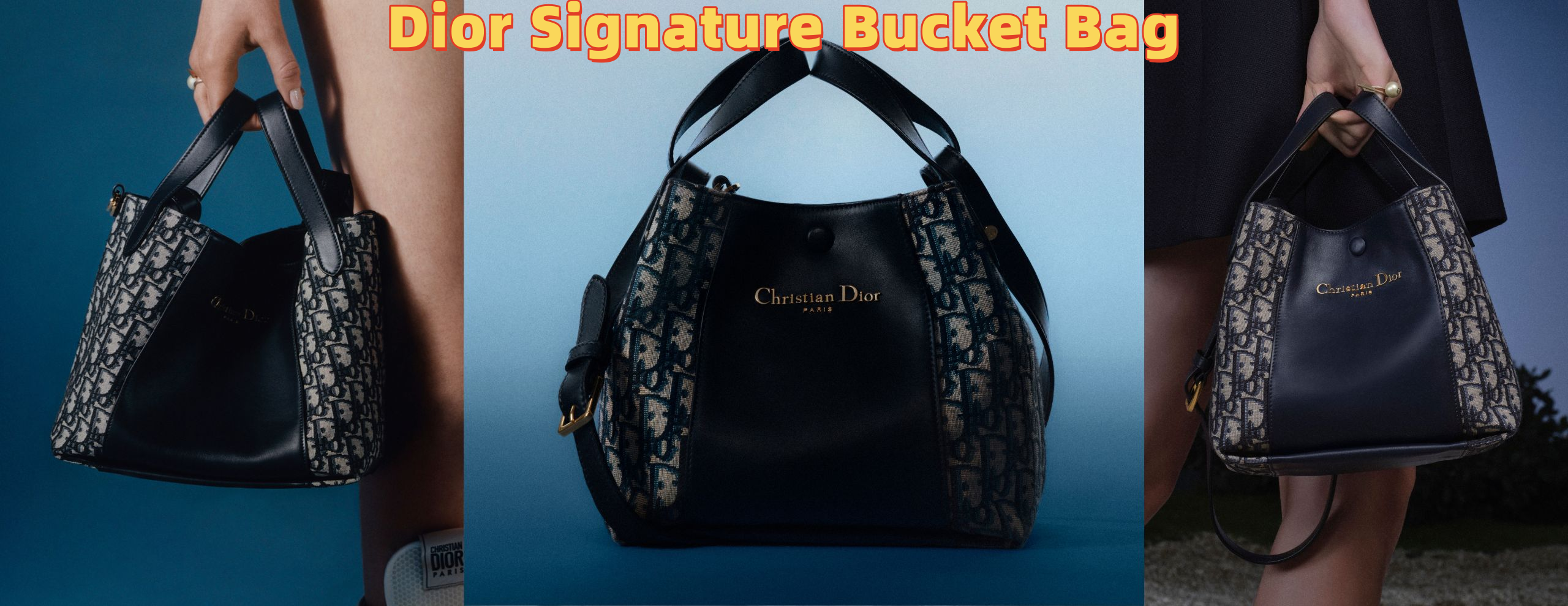 Dior Signature Bucket Bag.png