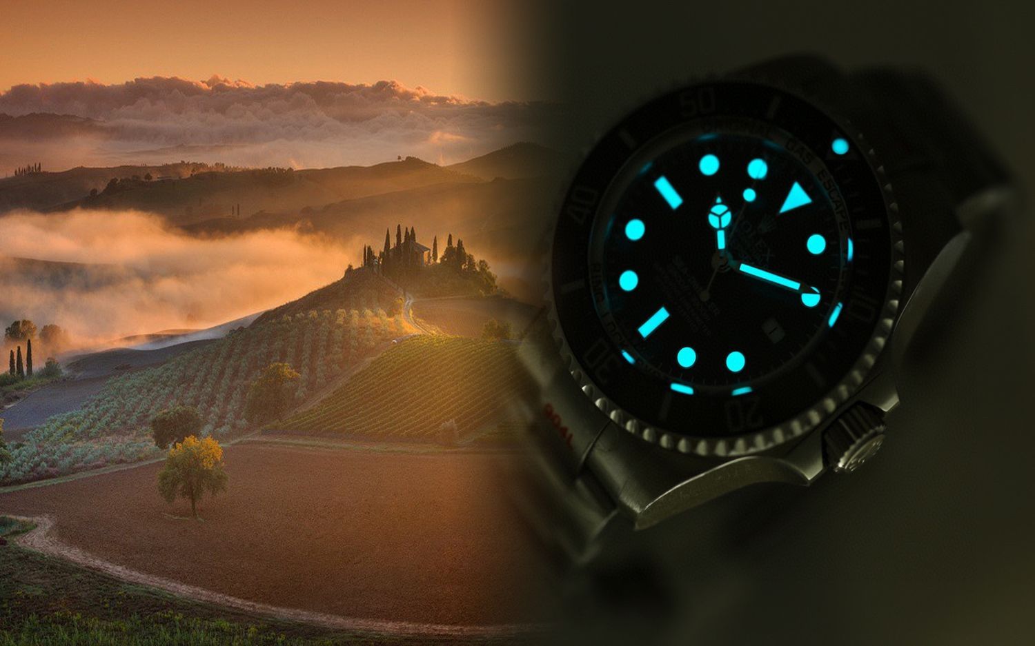 ロレックスデイトナ116520最終品番価値