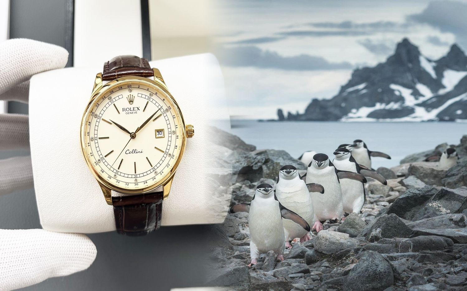 ロレックスマラソン短パン