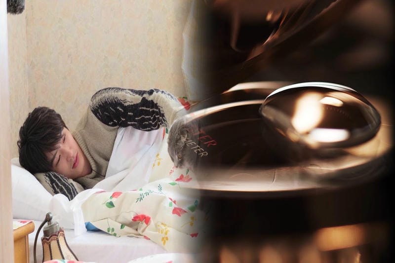 ロレックスプレミアランキング