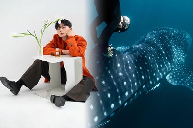 ロレックスの在庫がない理由とは？需要急増の背景