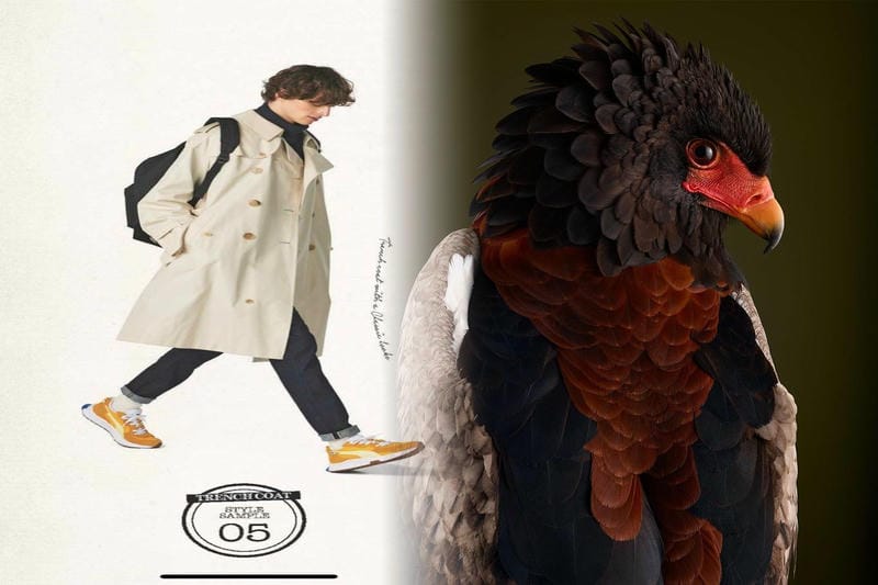 阿部泰治のパテック論 ～第１３１回～ 「Ref.5970G-001」 『パーペチュアルカレンダー クロノグラフ』