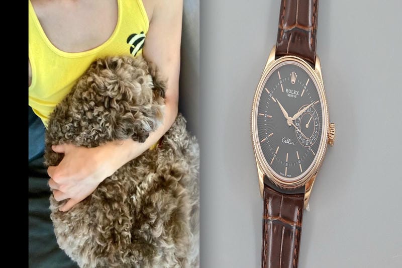 ウォッチ ペディア