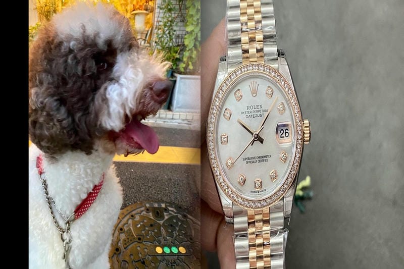 ジャック ロード 偽物