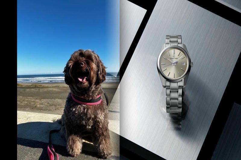 セイコー ドルチェ 中古 相場