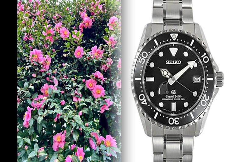 セイコー ルキア 限定 モデル