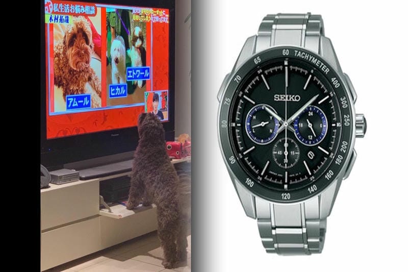 セイコー プロ スペック 芸能人
