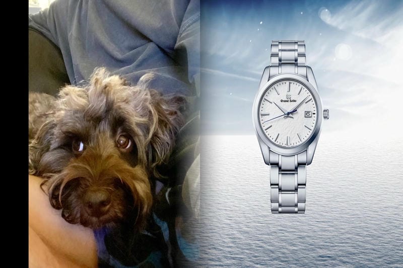 電波 ソーラー 腕時計 メンズ セイコー