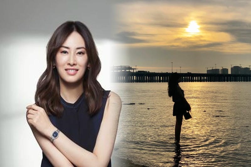 ルイ ヴィトン バッグ 分割払い