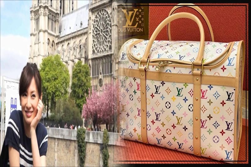 ルイ ヴィトン マザーズ バッグ