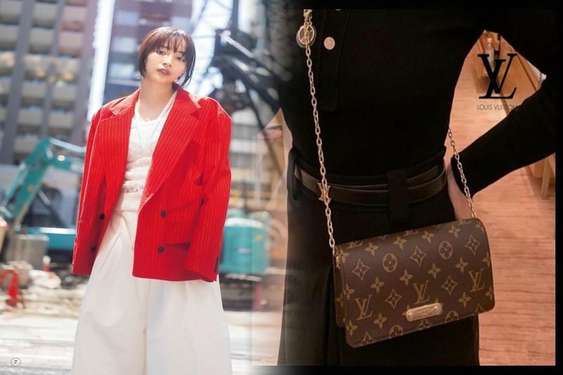 ルイ ヴィトン の バッグ の 種類