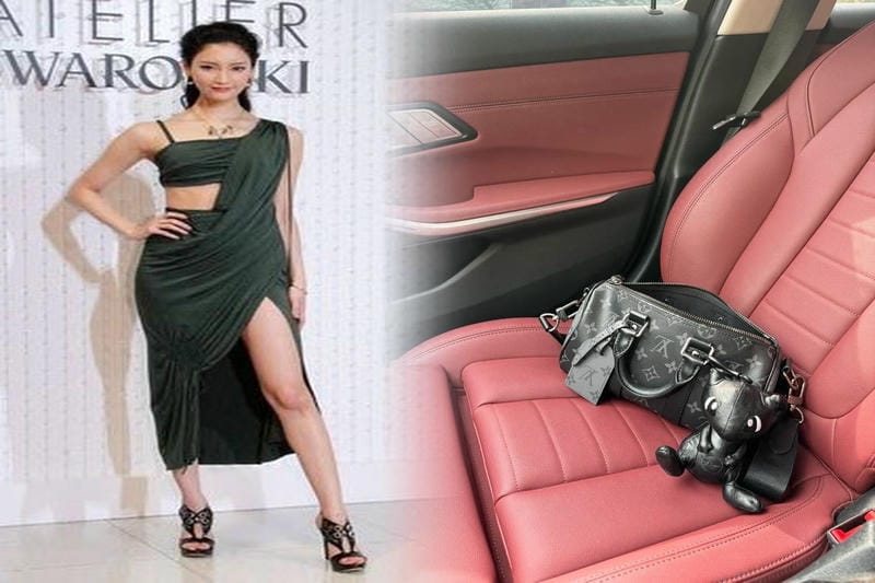 希少モデルの魅力｜レディースルイヴィトン廃盤ショルダーバッグ特集