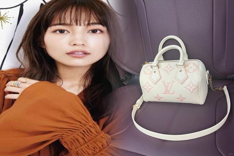 ルイ ヴィトン 犬 用 キャリー バッグ