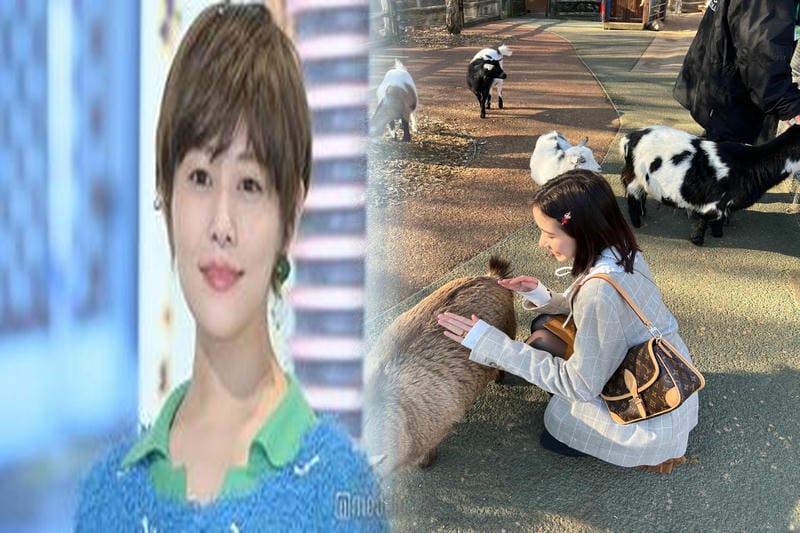 人気再熱LOUIS VUITTONのスピーディを持ちたい理由とは♪