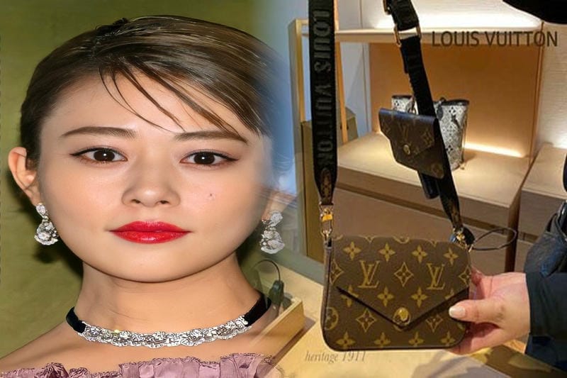 明日着 限定カラー 黄 モノグラム 長財布 ZIPPY ルイヴィトン