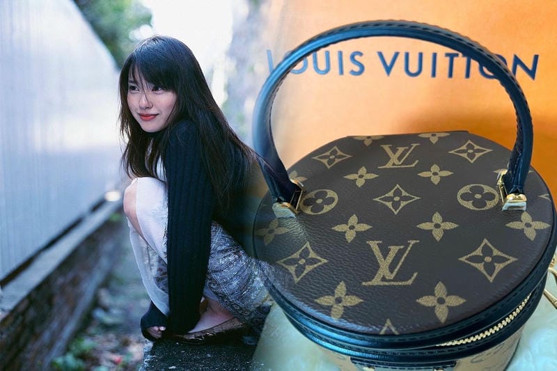 ルイ ヴィトン 犬 用 キャリー バッグ