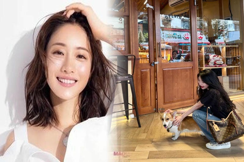 レディースルイヴィトンポシェット人気ランキング