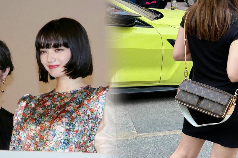 ルイ ヴィトン ノベルティ トート バッグ