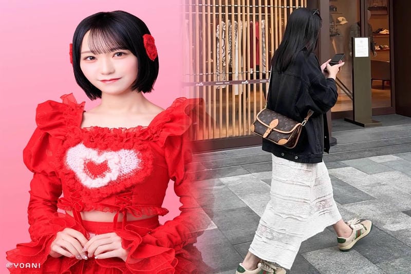 日本限定ルイヴィトンバッグ｜レアなアイテムをチェック