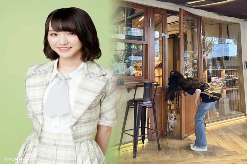 ルイヴィトン デニム バッグ 新作