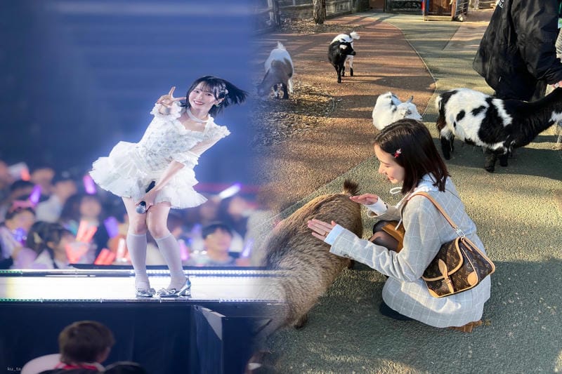 一流のデザインとコストパフォーマンス！ルイヴィトン激安サイトで個性を際立たせるスタイリング！