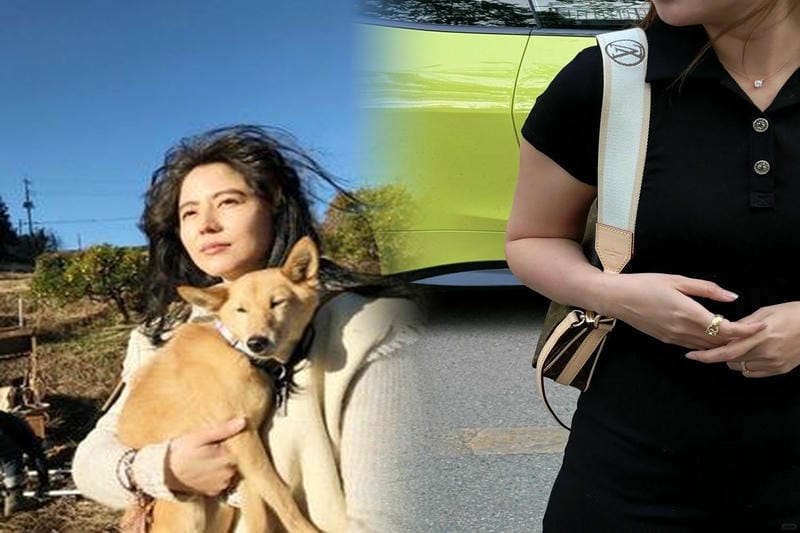 2025年注目のルイヴィトンバッグ新作情報