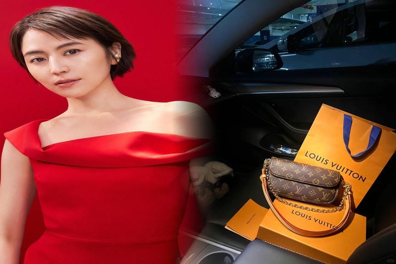 新作入手困難【LOUIS VIUTTON】ルイヴィトン ポルトフォイユ・エミリー 長財布