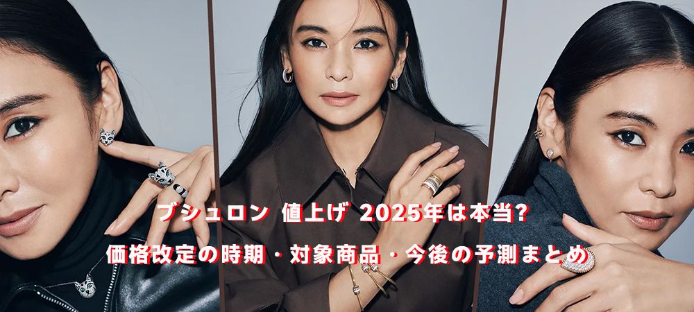 ブシュロン 値上げ