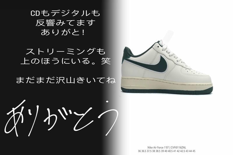 nike レブロン バッシュ