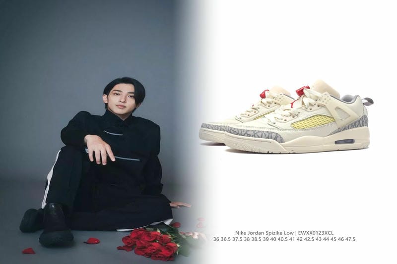 NIKE SB FC Classicとは何ですか？