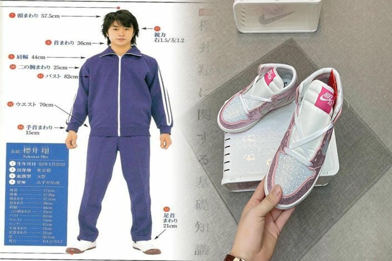 nike ズーム ペガサス