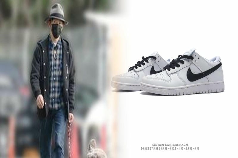 ナイキ sb チェック ソーラー キャンバス コーデ