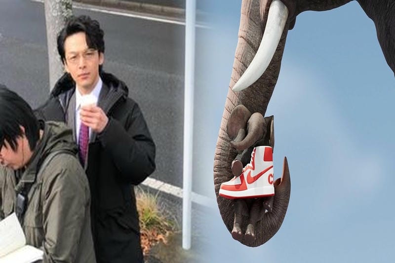 ナイキ スニーカー レア ランキング