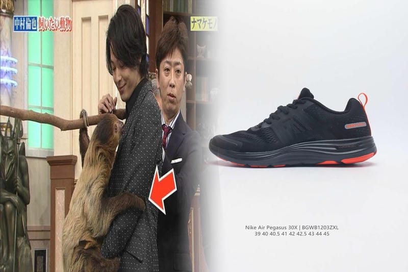 NIKE正社員の給料はいくら？【2026年最新】平均年収・初任給・年収レンジを徹底解説！