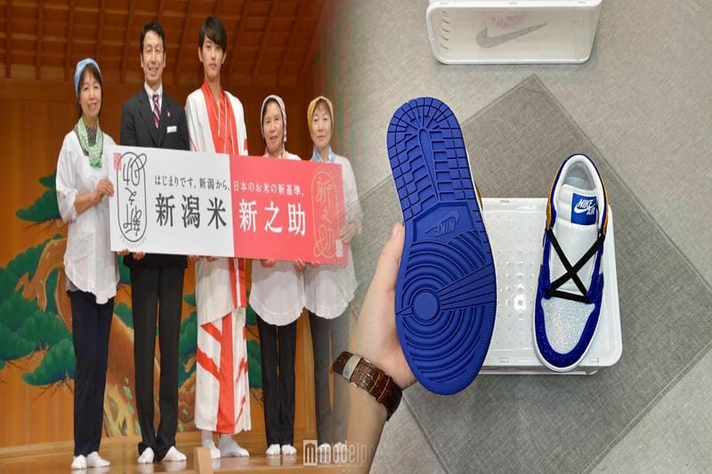 ナイキ おすすめ スニーカー レディース