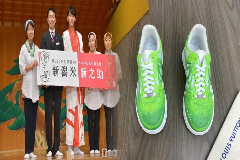 NIKEシューズSBとは何ですか？