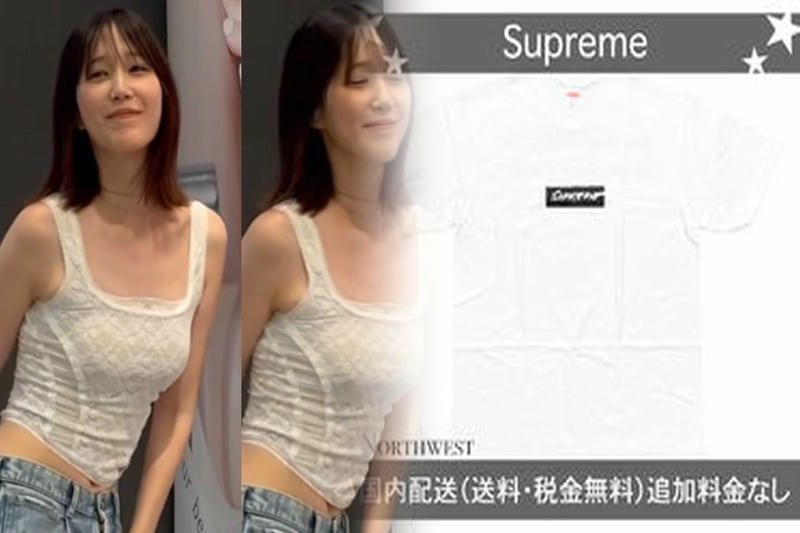 シュプリーム t シャツ パロディ