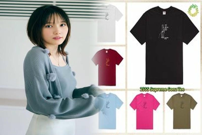 チャンピオン シュプリーム t シャツ