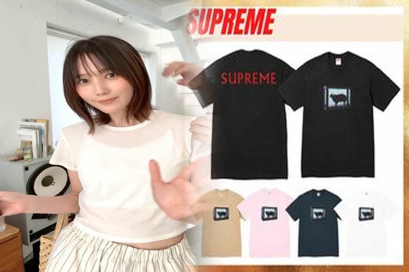 シュプリーム ノース フェイス t シャツ