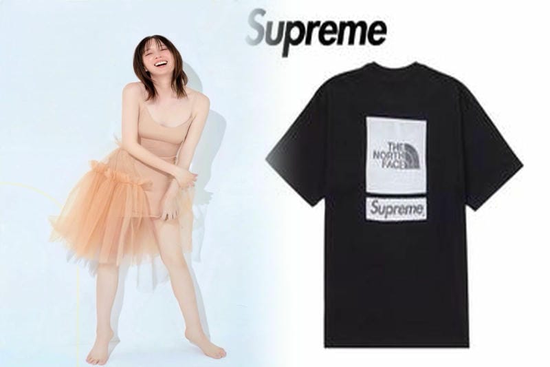 シュプリーム 17ss t シャツ